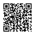 To view this 2013 Lincoln MKX AWD Toledo OH from Randy Shirks Northpointe Auto Sales | Guaranteed Credit Approval, please scan this QR code with your smartphone or tablet to view the mobile version of this page.