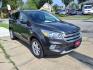 2017 Magnetic Ford Escape SE (1FMCU0GD2HU) with an 1.5L EcoBoost 1.5L Turbo I4 179hp 177ft. lbs. Direct Injection engine, 6-Speed Shiftable Automatic transmission, located at 5505 N. Summit St., Toledo, OH, 43611, (419) 729-2688, 41.654953, -83.530014 - Photo#16