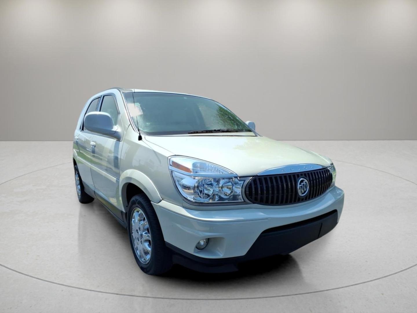 2007 Cappuccino Frost Metallic Buick Rendezvous CX (3G5DA03L67S) with an 3.5L 3.5L V6 overhead valve 12V Fuel Injected engine, 4-Speed Automatic transmission, located at 5505 N. Summit St., Toledo, OH, 43611, (419) 729-2688, 41.654953, -83.530014- Photo#19