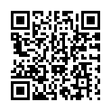 To view this 2013 Ford Taurus Toledo OH from Randy Shirks Northpointe Auto Sales | Guaranteed Credit Approval, please scan this QR code with your smartphone or tablet to view the mobile version of this page.