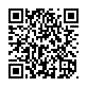 To view this 2015 Chevrolet Malibu Toledo OH from Randy Shirks Northpointe Auto Sales | Guaranteed Credit Approval, please scan this QR code with your smartphone or tablet to view the mobile version of this page.