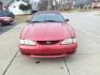 1995 Ultra Red 000 Ford Mustang GT (1FALP45T5SF) with an 5.0L 5.0L NA V8 overhead valves (OHV) 16V Fuel Injected engine, 5-Speed Manual transmission, located at 5505 N. Summit St., Toledo, OH, 43611, (419) 729-2688, 41.654953, -83.530014 - Photo#17
