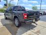 2019 Agate Black Um Ford F-150 XLT (1FTEW1EP3KF) with an 2.7L EcoBoost 2.7L Twin Turbo V6 325hp 400ft. lbs. Direct Injection engine, 10-Speed Shiftable Automatic transmission, located at 5505 N. Summit St., Toledo, OH, 43611, (419) 729-2688, 41.654953, -83.530014 - Photo#22