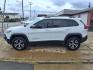 2015 Bright White Clear Coat Jeep Cherokee Trailhawk (1C4PJMBSXFW) with an 3.2L 3.2L V6 271hp 239ft. lbs. Sequential Multiport Fuel Injection engine, 4WD 9-Speed Shiftable Automatic transmission, located at 5505 N. Summit St., Toledo, OH, 43611, (419) 729-2688, 41.654953, -83.530014 - Photo#22