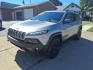 2016 Billet Silver Metallic Clear Coat Jeep Cherokee Trailhawk (1C4PJMBS6GW) with an 3.2L 3.2L V6 271hp 239ft. lbs. Sequential Multiport Fuel Injection engine, 4WD 9-Speed Shiftable Automatic transmission, located at 5505 N. Summit St., Toledo, OH, 43611, (419) 729-2688, 41.654953, -83.530014 - Photo#21
