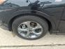 2023 Agate Black Um Ford Escape ST-Line (1FMCU0MNXPU) with an 1.5L EcoBoost 1.5L Turbo I3 180hp 199ft. lbs. Direct Injection engine, 8-Speed Shiftable Automatic transmission, located at 5505 N. Summit St., Toledo, OH, 43611, (419) 729-2688, 41.654953, -83.530014 - Photo#23