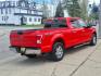 2015 Race Red Ford F-150 XLT (1FTFW1EG8FK) with an 3.5L EcoBoost 3.5L Twin Turbo V6 365hp 420ft. lbs. Direct Injection engine, 6-Speed Shiftable Automatic transmission, located at 5505 N. Summit St., Toledo, OH, 43611, (419) 729-2688, 41.654953, -83.530014 - Photo#18