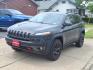 2017 Granite Crystal Metallic Clear Coat Jeep Cherokee Trailhawk (1C4PJMBSXHW) with an 3.2L V6 271hp 239ft. lbs. Sequential Multiport Fuel Injection engine, 4WD 9-Speed Shiftable Automatic transmission, located at 5505 N. Summit St., Toledo, OH, 43611, (419) 729-2688, 41.654953, -83.530014 - Photo#25
