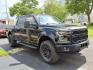 2017 Black Ford F-150 XLT (1FTEW1EP1HF) with an 2.7L EcoBoost 2.7L Twin Turbo V6 325hp 375ft. lbs. Direct Injection engine, 6-Speed Shiftable Automatic transmission, located at 5505 N. Summit St., Toledo, OH, 43611, (419) 729-2688, 41.654953, -83.530014 - Photo#22